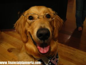 Golden Retriever Independent Financial Planner